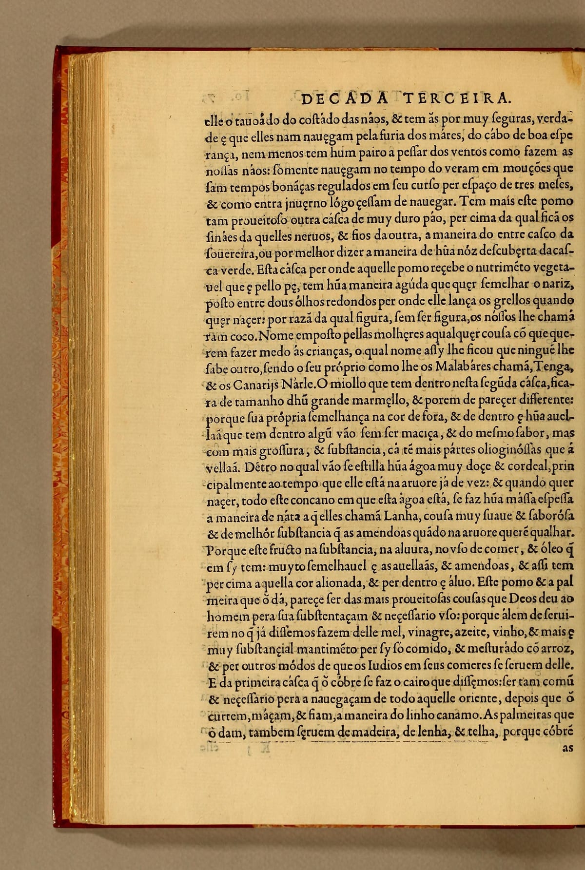 Página impresa en portugués en 1563, a una columna, con el pasaje que explica por qué se llamó coco al fruto de la palmera