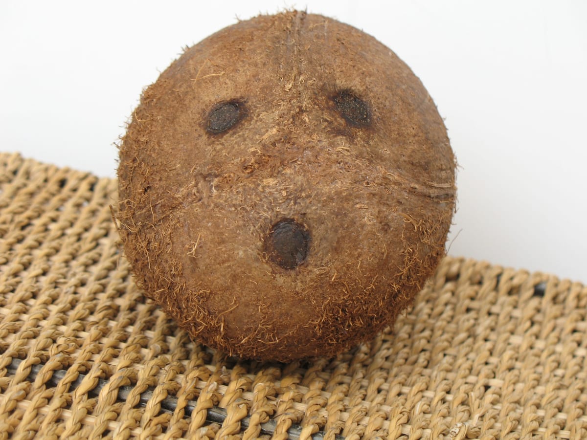 Coco pelado sobre una estera, con tres manchas oscuras en la cáscara que parecen dos ojos y una boca abierta