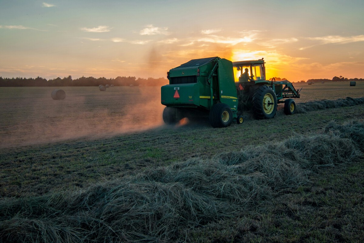 agricultura
