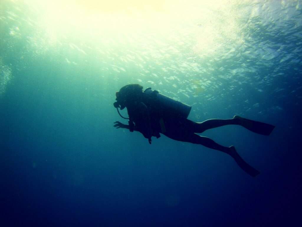 7 Secretos Profundos del Buceo que Te Dejarán Boquiabierto (Más que la Falta de Aire) buceo en 2025