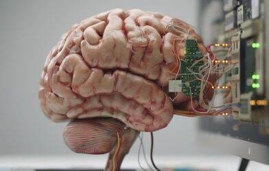 5 Pasos (Que Deberías Seguir) Hacia la Inteligencia Artificial Práctica inteligencia artificial práctica