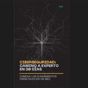 Ciberseguridad: Camino a Experto en 30 Días - Domina los Fundamentos (Ebook PDF)