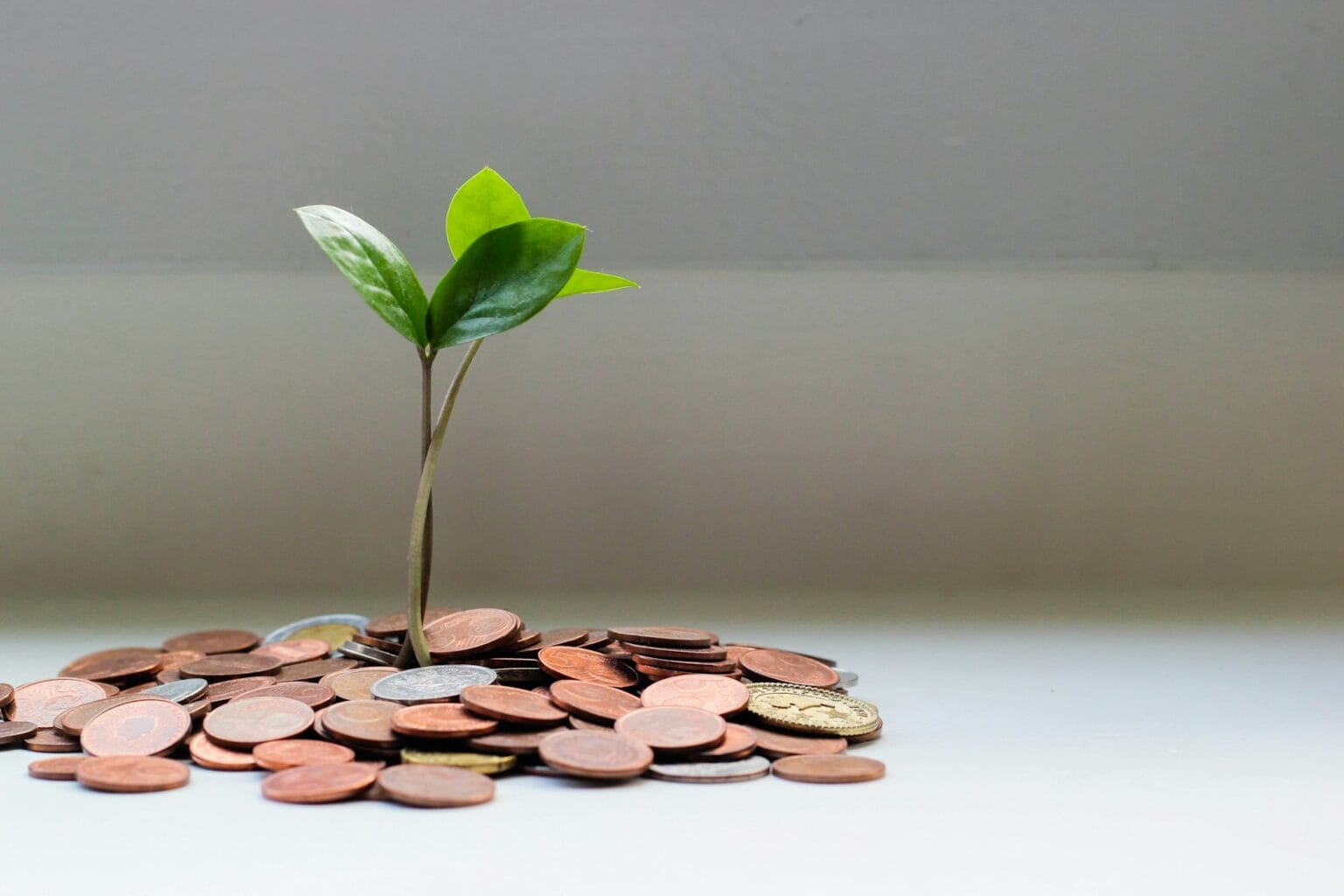 Invertir Menor Edad España: Guía Práctica para Empezar | AXM