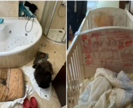 la casa del horror de Oviedo