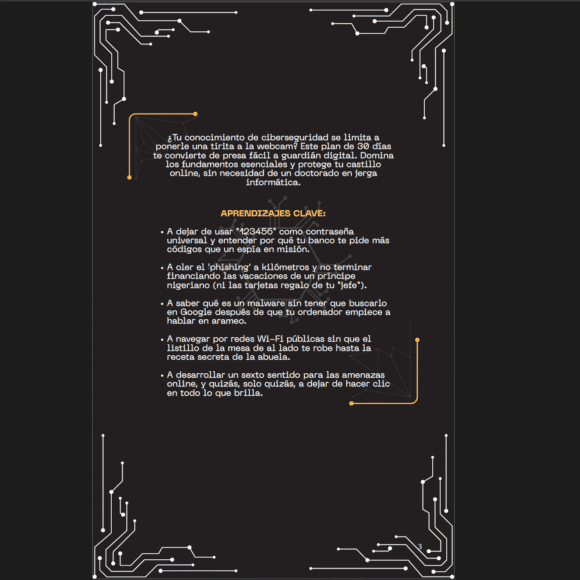 introduccion ciberseguridad 580x580