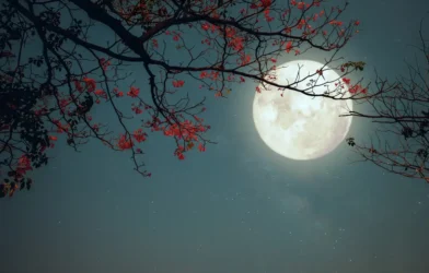La Luna de Mayo se Pone Coqueta: Guía para Entender y Disfrutar la Microluna de Flores 2025 Microluna de Flores 2025