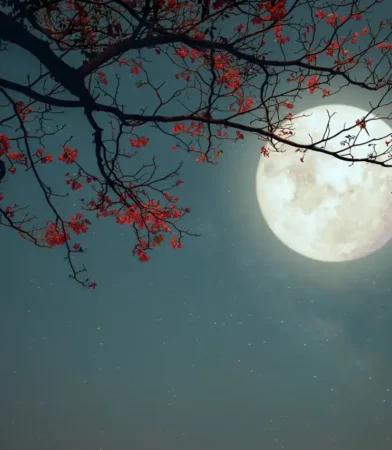 Microluna de Flores 2025