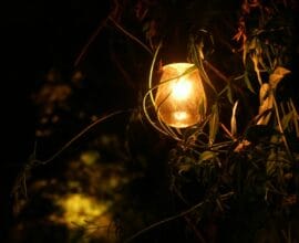 Precio Luz Jueves 22 Mayo: ¿Milagro o Espejismo? Cómo Entender tu Factura (y Ahorrar de Verdad)