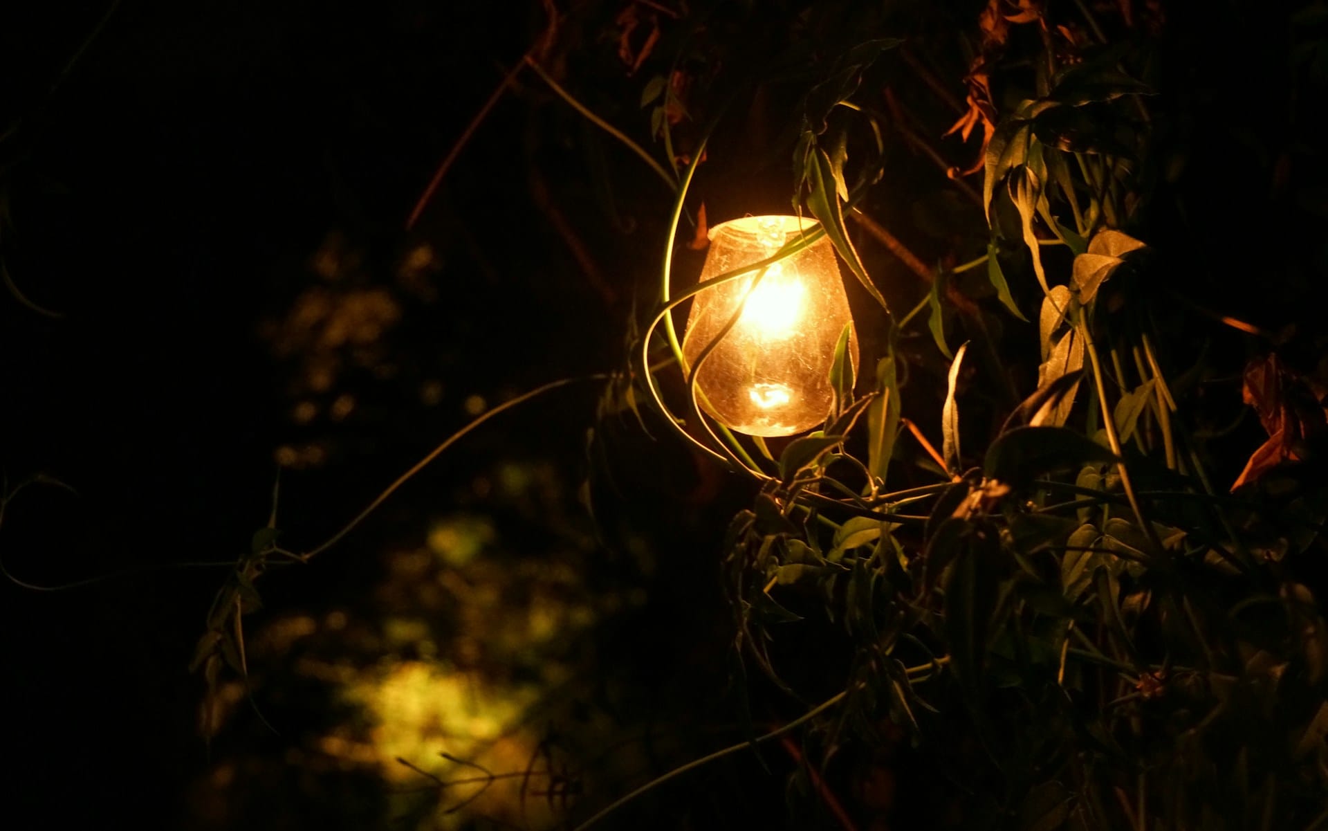 Precio Luz Jueves 22 Mayo: ¿Milagro o Espejismo? Cómo Entender tu Factura (y Ahorrar de Verdad)