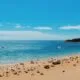 vacaciones 80x80